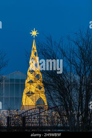 Beautiful Christmas Lighting Display. illuminated LED Christmas tree in a park. Street view, selective focus, nobody Stock Photo