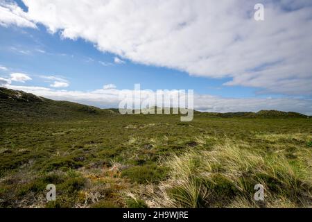 Vast green field with low hills covered by grass and wheat under a bright cloudy sky on a sunny day Stock Photo