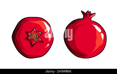 Pomegranate fruit side view and top view. Colored exotic pomegranate fruit. Vector illustration isolated in white background Stock Vector