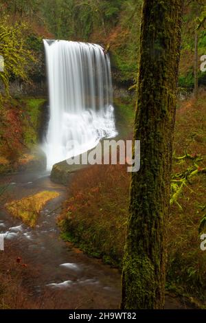 Middle North Falls on Trail of Ten Falls, Silver Falls State Park, Oregon Stock Photo