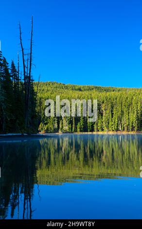 Charlton Lake, Deschutes National Forest, Oregon Stock Photo