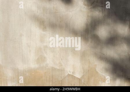 concrete or cement material and leaf shadow on abstract wall background texture. Stock Photo