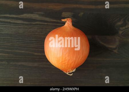 A bulb onion isolated on black wooden background Stock Photo