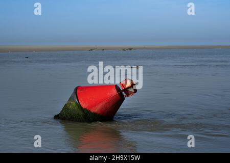 red buoy in the floating sea. Seal is swimming in the background, the sky is blue. Stock Photo