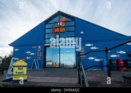 The Lake District Coast Aquarium in Maryport, a visitor attraction in the coastal town in Cumbia, England, UK Stock Photo