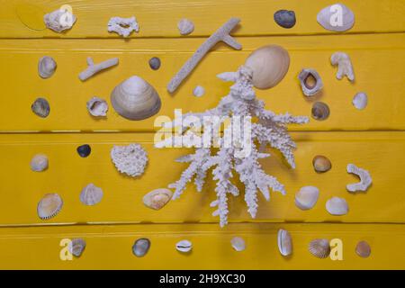 Small seashells and coral of different sizes and colors are scattered on a yellow wooden background close up Stock Photo