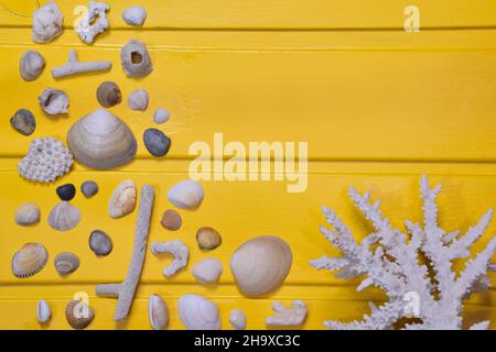 Small seashells and coral of various sizes and colors are scattered on a yellow wooden background. At the top right there is a place for an inscriptio Stock Photo