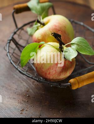 Two apples in a wire basket Stock Photo