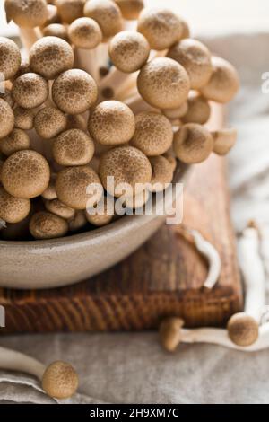 Fresh shimeji mushrooms in a ceramic bowl on a chopping board (close-up) Stock Photo