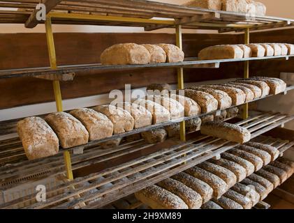 Assorted tin loaves cooling on wooden shelves in a bakery Stock Photo