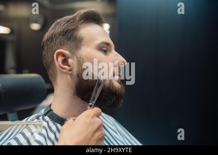 Hairdresser doing haircut of beard using comb and scissors Stock Photo
