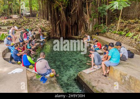 SIQUIJOR, PHILIPPINES - FEBRUARY 9, 2018: People enjoy a natural fish spa at the Old Enchanted Balete Tree on Siquijor island, Philippines. Stock Photo