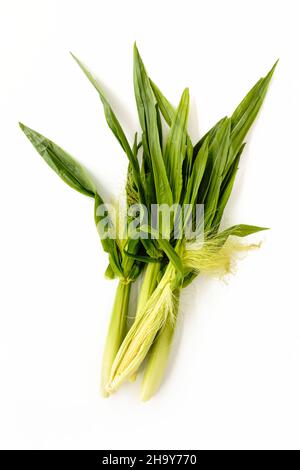 Fresh baby corn with leaves isolated on white background. Top view. Stock Photo