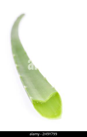 aloe, aloe vera, single, cutted, white background, leaf, medicine, white, background, genuine, flower, medicinal plant, isolated, blossom, detail, cut Stock Photo
