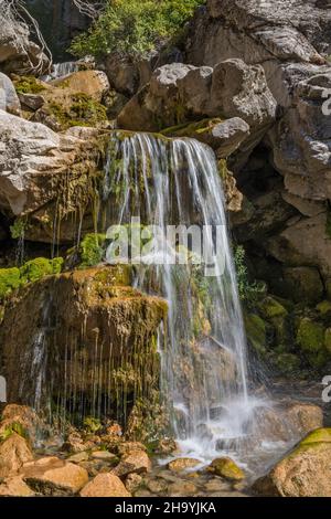 Lower Falls at Five Springs Falls, late summer, Bighorn Mountains, Wyoming, USA Stock Photo