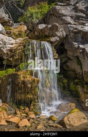 Lower Falls at Five Springs Falls, late summer, Bighorn Mountains, Wyoming, USA Stock Photo