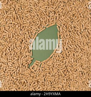 Wooden oak pellet arranged in a shape of a green leaf. Sustainable energy minimal concept Stock Photo
