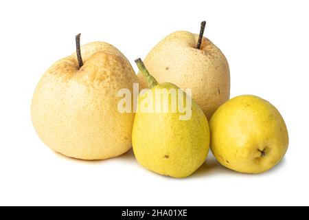 Chinese pear fruit isolated on white background with clipping path. Stock Photo