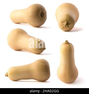 collection of butternut squash, also known as butternut pumpkin or gramma in different angles isolated on white background Stock Photo