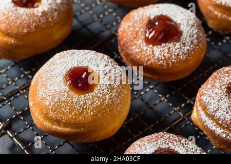 Homemade Jewish Sufganiyot Jelly Donuts with Powdered Sugar Stock Photo