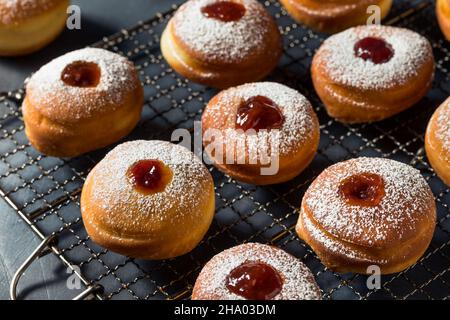 Homemade Jewish Sufganiyot Jelly Donuts with Powdered Sugar Stock Photo