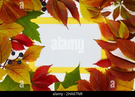 Autumn frame made of bright leaves and berries. Inside there is free space for text on a white sheet of paper in a yellow frame. Stock Photo
