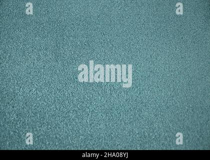 Green indoor office carpet texture. High resolution seamless monochrome wool fabric background. Interior material background top view. Short pile Stock Photo