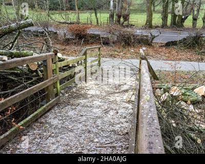 A tree in Ambleside blown over onto a bridge by Storm Arwen, an extrmely powerful storm that created huge damage and loss of life. Stock Photo