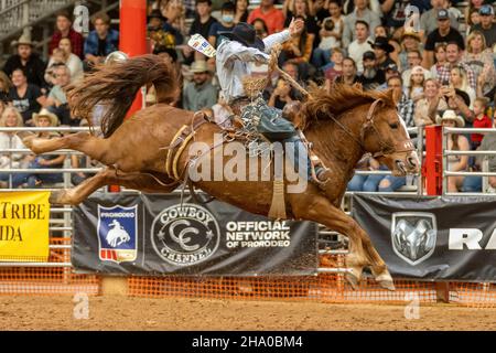 Saddle Bronc Riding seen on Southeastern Circuit Finals Rodeo during the event. Stock Photo