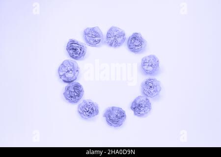 Violet pastelFlowers composition. Round frame made of rose flowers on light background. Flat lay, top view, copy space. Flowers composition for celebrating an anniversary, Color 2022 Stock Photo