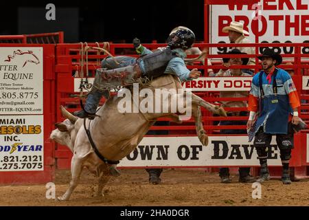 Bull Riding seen on Southeastern Circuit Finals Rodeo during the event. Stock Photo