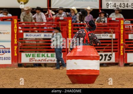 Bull Riding seen on Southeastern Circuit Finals Rodeo during the event. Stock Photo