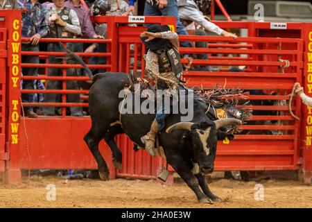 Bull Riding seen on Southeastern Circuit Finals Rodeo during the event. Stock Photo