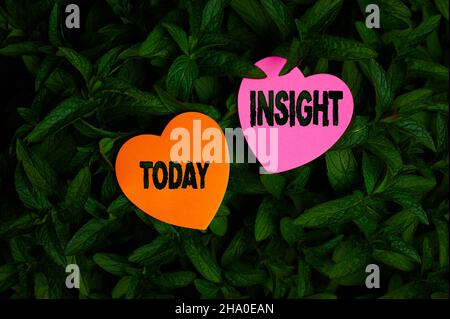 Text sign showing Insight. Business overview Capacity Gain accurate deep understanding of someone or something Heart Shaped Paper On Top Of Outdoor Stock Photo