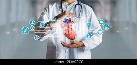 Doctor holding a 3D human heart as a concept of health, medical insurance and personal status. Mixed media. Medical future technology and innovative c Stock Photo