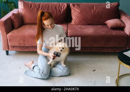 Front view of smiling young woman gently combing pretty white small Spitz pet dog, sitting on floor at home. Stock Photo
