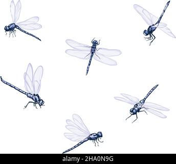 Dragonfly, vector image of dragonflies, flying dragonflies, vector illustration for use in logos, signs, trademarks, for design and advertising, color Stock Vector