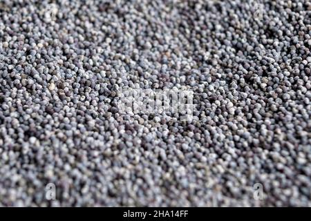 Heap of dry poppy seeds. Macro. Selective focus. Extreme close-up Stock Photo