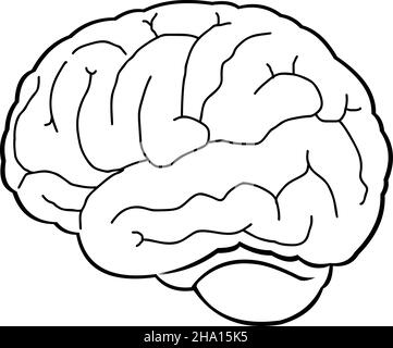 Vector illustration of a brain drawn in black and white Stock Vector