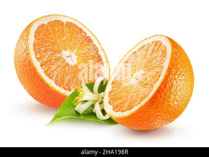 two halves of orange with leaf and orange blossom isolated on a white background. Stock Photo