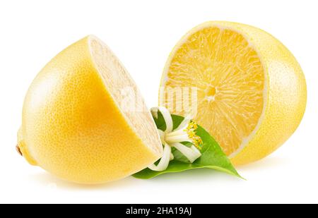 two halves of lemon with leaf and lemon blossom isolated on a white background. Stock Photo