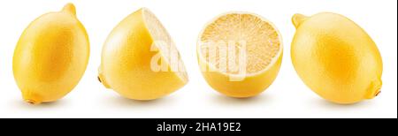 collection of lemons isolated on a white background. Stock Photo