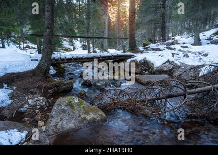 Snow covered small footbridge across a mountain creek in a snowy forest in winter. Tranquil winter scene. Stock Photo