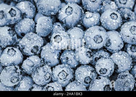Blueberry fruit background, fresh ripe berries full frame shot Stock Photo