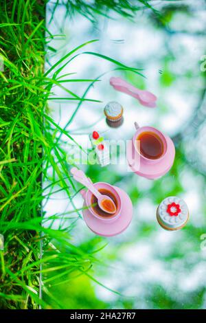 Tea party for dolls, plastic toys picnic, grass and sky Stock Photo