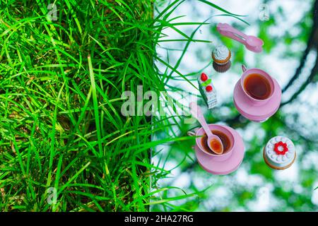 Tea party for dolls, plastic toys picnic, grass and sky Stock Photo