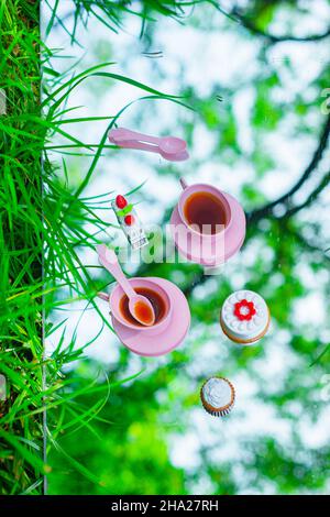 Tea party for dolls, plastic toys picnic, grass and sky Stock Photo