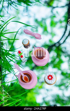 Tea party for dolls, plastic toys picnic, grass and sky Stock Photo