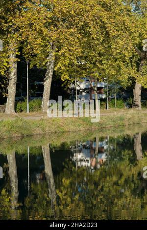 Toulouse (south of France): the Canal du Midi between the district of Port Saint-Sauveur and the Demoiselles Bridge Stock Photo