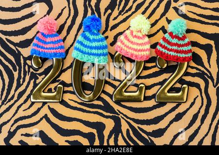 Number 2022 on Tiger Cloth with multi-colored knitted hats,  flat lay. Symbol 2022 Tiger Stock Photo